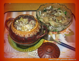 Горшочки со свининой и грибами и картошкой рецепт в 106