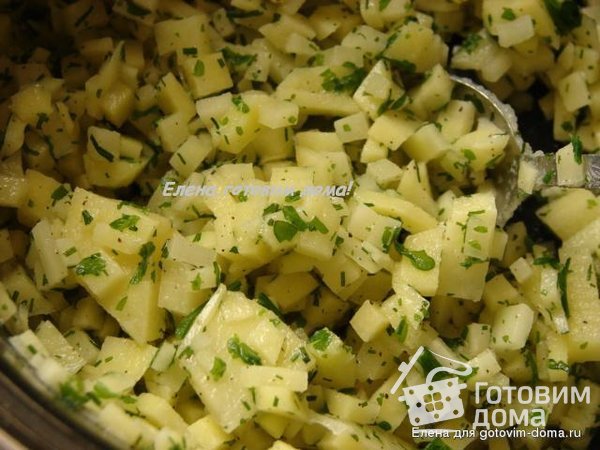 Вареники с сырым картофелем и сырно-картофельные фото к рецепту 2
